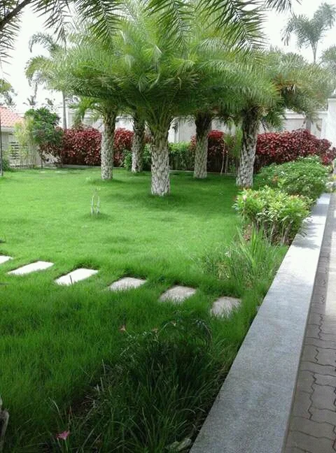 Hi-Tech Green Planning